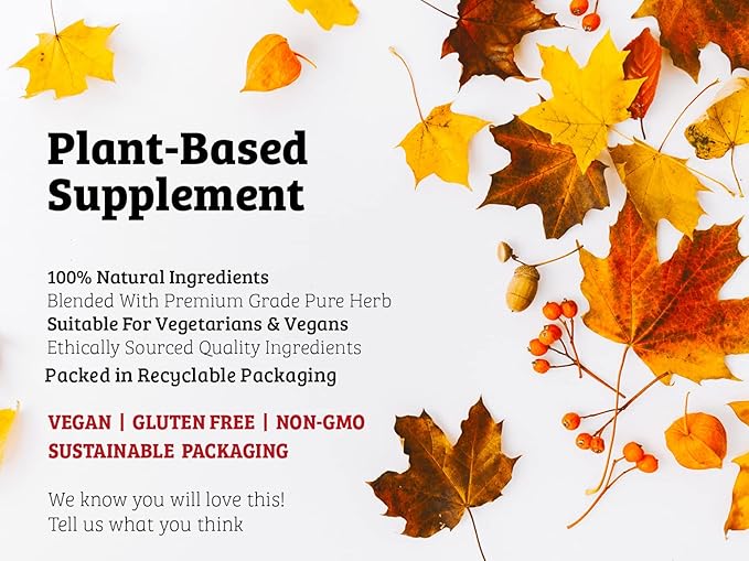 DR WAKDE'S Tulsi Powder (Holy basil | Ocimum sanctum) - 100g (3.5oz) | Pure, Raw & Dried Powder | Natural Aroma and Freshness | Fine Powder | Vegan | Premium Grade | Nothing Added, Nothing Removed