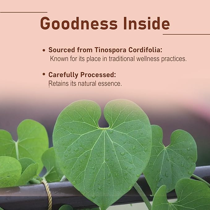 minature Guduchi (Giloy) Powder | (Tinospora Cordifolia) | Supports Healthy Digestion | Immunity Booster| Indian Giloy Powder | Resealable Zip Lock Pouch | 227g (8oz)