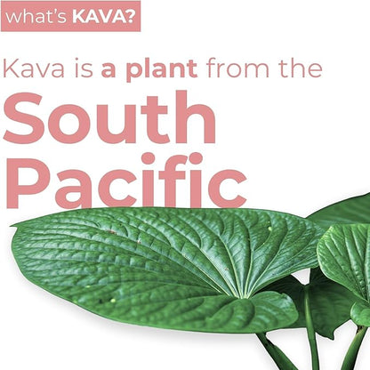 LEILO | Kava Powered Sparkling Relaxation Drink | Raspberry Hibiscus 12-Pack - Non-ALC Calming Beverage | 12 fl oz Cans (Pack of 12)