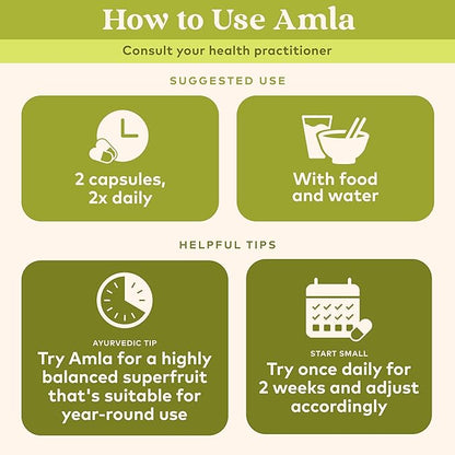 ORGANIC INDIA Amla Capsules Organic - Indian Gooseberry Herbal Vitamin Supplement, Amla Supplement, Immune Support, Vegan, Gluten-Free, Ayurvedic, Antioxidant, Non-GMO - 90 Capsules