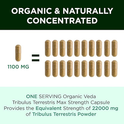 Organic Veda Tribulus Terrestris Extract Capsules for Men, 22000mg - Tribulus Terrestris Super Strength with Moringa & Black Pepper - Boost Energy, Stamina & Performance - Vegan, Non-GMO - 120 Count