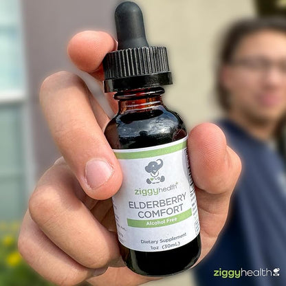 Organic Elderberry Tincture - Elderberry Extract - Liquid Elderberry Drops, Immune Support, Respiratory Support & Defense, 1oz - Ziggy Health