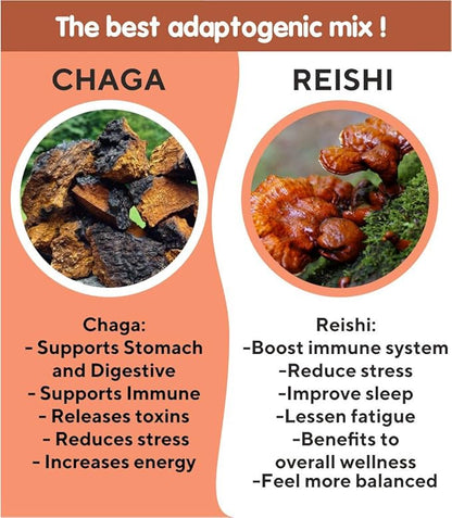 Chaga Reishi Tea Wild Chaga Tea with Reishi - 30 Unbleached Tea Bags - Ganoderma Lingzhi Mushroom Supplement Tea with Wild Chaga