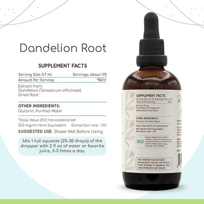 Dandelion Root B120 Alcohol-Free Herbal Extract Tincture, Super-Concentrated Dandelion (Taraxacum Officinale) Dried Root (4 fl oz)