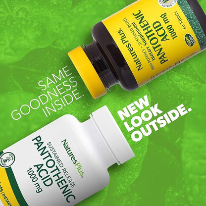 NaturesPlus Pantothenic Acid, Sustained Release - 1000 mg, 60 Tablets - High-Potency Vitamin B5 Supplement - Vegetarian, Gluten Free - 60 Servings