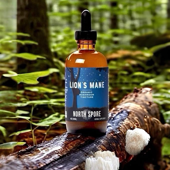 North Spore Organic Lion's Mane Mushroom Tincture (4 oz) | 100% Fruiting Body Extracts | for Focus, Memory, Brain Support | Certified Organic, Vegan, Non-GMO | Adaptogenic, Nootropic | Made in USA