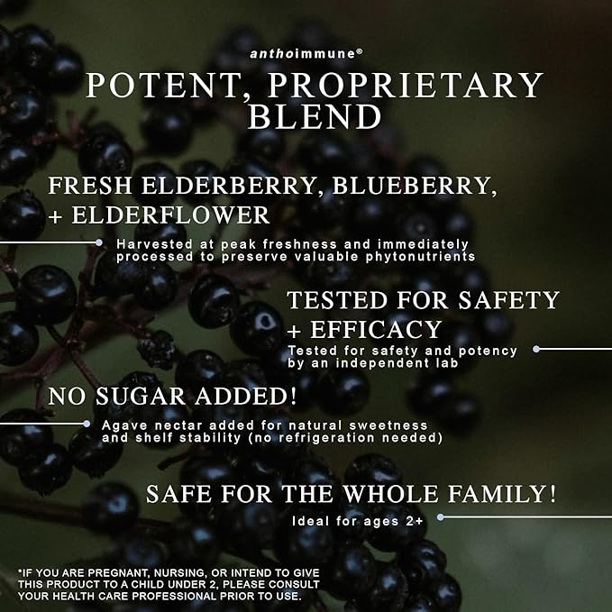 Organic Elderberry Syrup - Anthoimmune - Immune Support Supplement for Adults and Kids- USDA Organic, Ultra-Premium Black Elderberry Formula (8 oz) 48 Servings