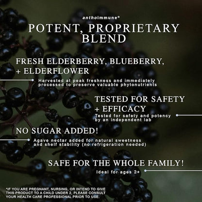 Organic Elderberry Syrup - Anthoimmune - Immune Support Supplement for Adults and Kids- USDA Organic, Ultra-Premium Black Elderberry Formula (8 oz) 48 Servings