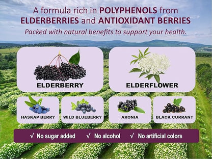 Immunia Fusion - Enhance Your Immune Support. A Powerful Formula Made with elderberries, elderflowers, and Blue Fruits Rich in polyphenols. A Concentrated antioxidant Formula. (1-Pack)