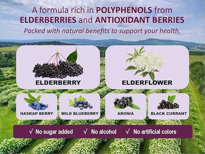 Immunia Fusion - Enhance Your Immune Support. A Powerful Formula Made with elderberries, elderflowers, and Blue Fruits Rich in polyphenols. A Concentrated antioxidant Formula. (3-Pack)