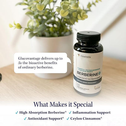 Vitauthority Berberine with Ceylon Cinnamon Supplements | High Absorption Dihydroberberine for Balance and Support | Vegan Powerful AMPk Activator & Antioxidant | 30 Servings