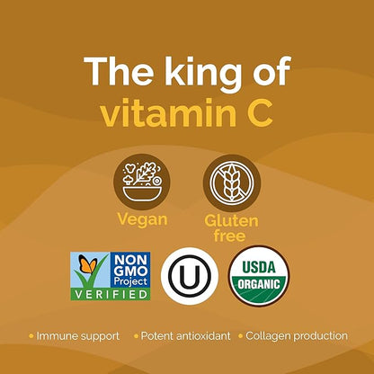 Zint Camu Camu Powder Organic | Superfood Powder | Organic Fruit Ingredient | Antioxidants Source Perfect for Smoothies, Juices, Ice Creams | Non-GMO, Gluten-Free, Kosher | 3.5 oz