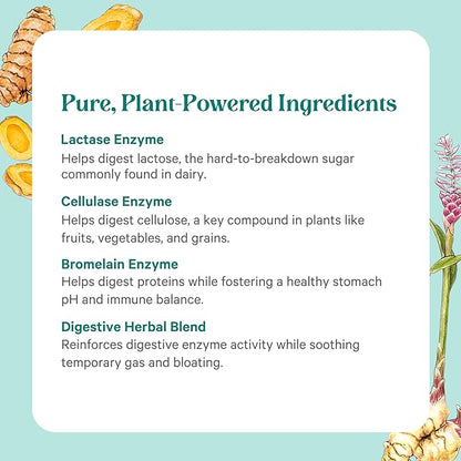 PURE SYNERGY Enzyme Power | Digestive Enzyme Supplement | Digestive Health Enzymes with Nattokinase, Bromelain, and Serrapeptase | for Digestive and Gut Health (90 Capsules)
