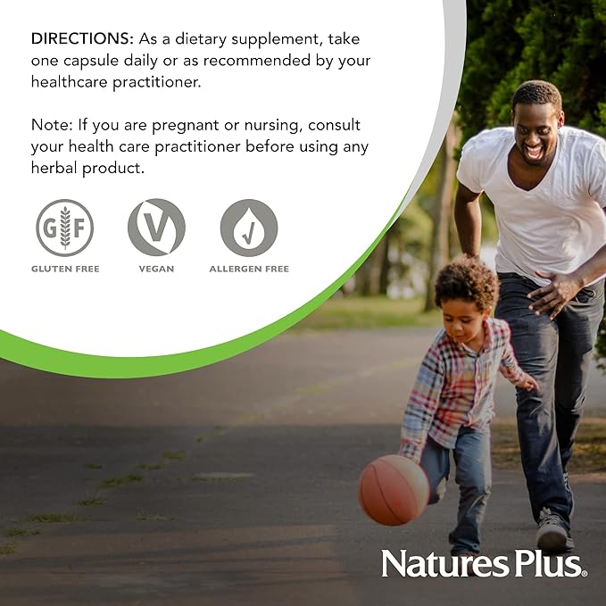 NaturesPlus Herbal Actives Astragalus - 60 Capsules - Immune System Support - Vegan, Gluten Free - 60 Servings