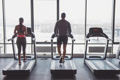 Pure Original Ingredients DMAE Bitartrate (365 Capsules) No Magnesium Or Rice Fillers, Always Pure, Lab Verified