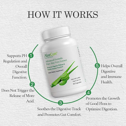 AloeCure Organic Aloe Vera Capsules, 130,000mg Inner Aloe Leaf Equivelant per Serving, Support Gut, Digestive, & Immune Health, Helps Maintain Balanced Stomach Acidity, Aloin Free, 60Caps x 3Btl