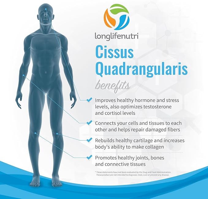 Cissus Quadrangularis 1200mg - 180 Veggie Capsules - Natural Formula for General Wellness and Vitality