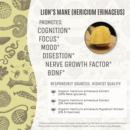 Hamilton’s Lucid Lion’s Mane | Organic Mushroom Extract Powder for Synapse Repair, Nerve Growth Factor, Focus, Memory, and Concentration | High Potency | 30% Beta Glucans | GF, Non-GMO, Vegan (500g)