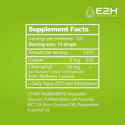 E2H Chlorophyll Liquid Drops - Natural Energy Booster, Immune System Support and Internal Deodorant - Peppermint Flavor - 2 Fl Oz