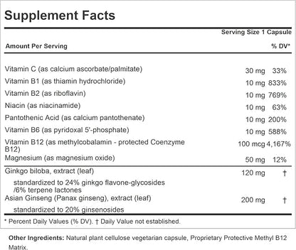 ANDREW LESSMAN Ginkgo 120 Plus Ginseng 200mg - 120 Capsules - Standardized Extract Blend to Support Brain, Memory and Cognitive Function. Adaptogen, Combats Stress and Fatigue. No Additives