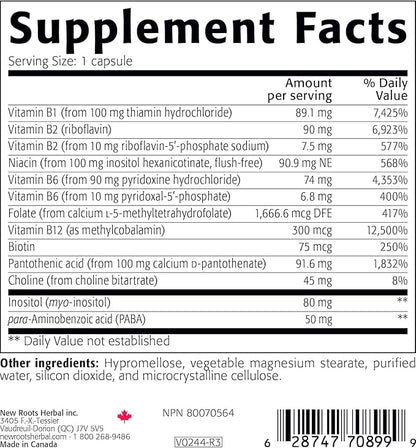 New Roots | Ultra Vitamin B Supplement 100 Mg (180 Capsules)