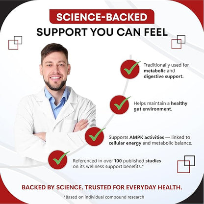 Berberine Ceylon Cinnamon - All-in-1 Supplement with Bitter Melon AVG Gymnema sylvestre Turmeric Milk Thistle Licorice Holy Basil Fenugreek Banaba