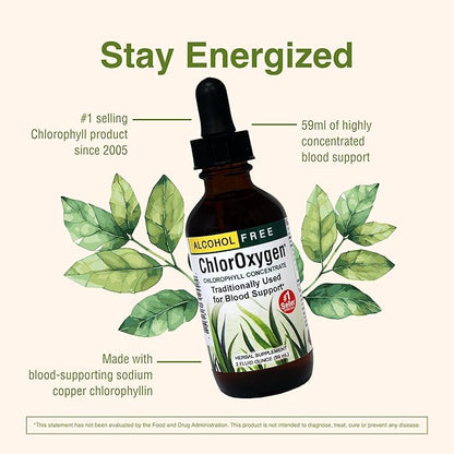 Herbs Etc. ChlorOxygen Chlorophyll Concentrate - Highly-Concentrated Energy Support - Aids Healthy Blood Circulation - Natural Vitality Support - Alcohol-Free - 2 fl oz (About 132 Servings)