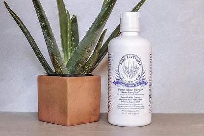 Aloe Force - Pure Aloe Vera Dietary Supplement, 32oz
