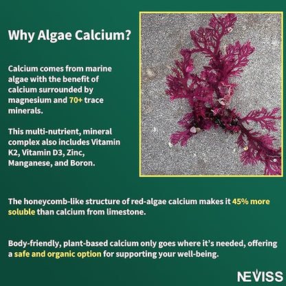 NEVISS Algae Calcium Gummies with Zinc and Magnesium Supplement