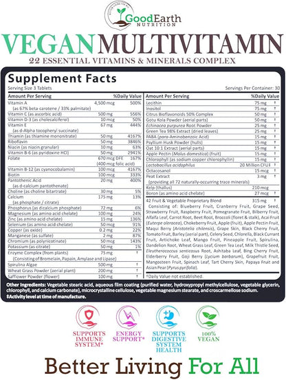 Vegan Multivitamins for Men & Women - Vitamins A , B Complex , C , D3 , Zinc , Magnesium , Spirulina , Antioxidants - Daily Multivitamin Mineral Supplement with Proprietary Fruit & Vegetable Blend