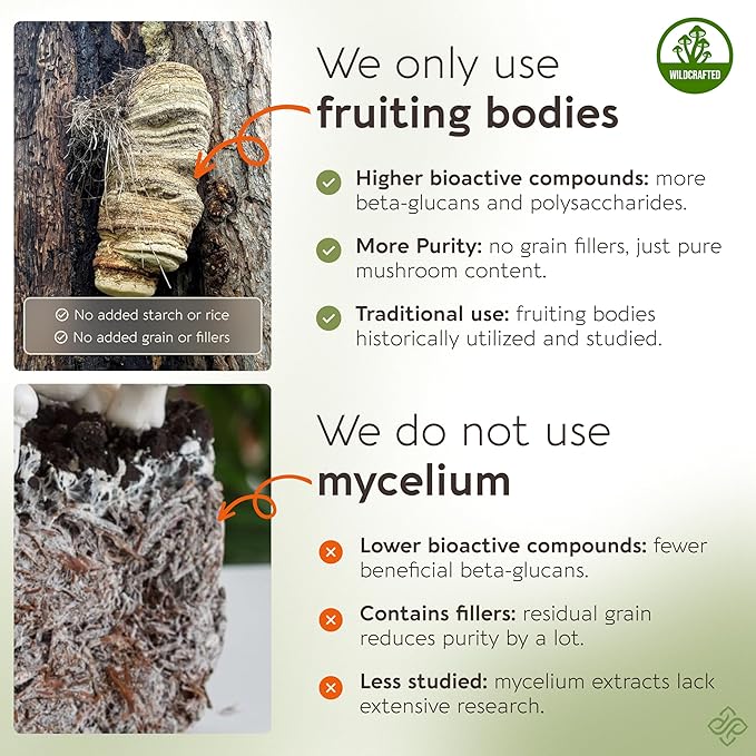 Longevity Botanicals Wildcrafted Agarikon Mushroom Extract Capsules (120) | Concentrated 10:1 Ratio | 100% Fruiting Bodies | Laricifomes Officinalis Supplement for Immunity & Respiratory Support