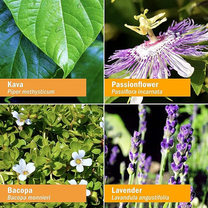 Herb Pharm Anxiety Soother Liquid Herbal Formula with Kava Extract and Lavender Essential Oil for Mild and Occasional Anxiety Support* - 2 Ounce