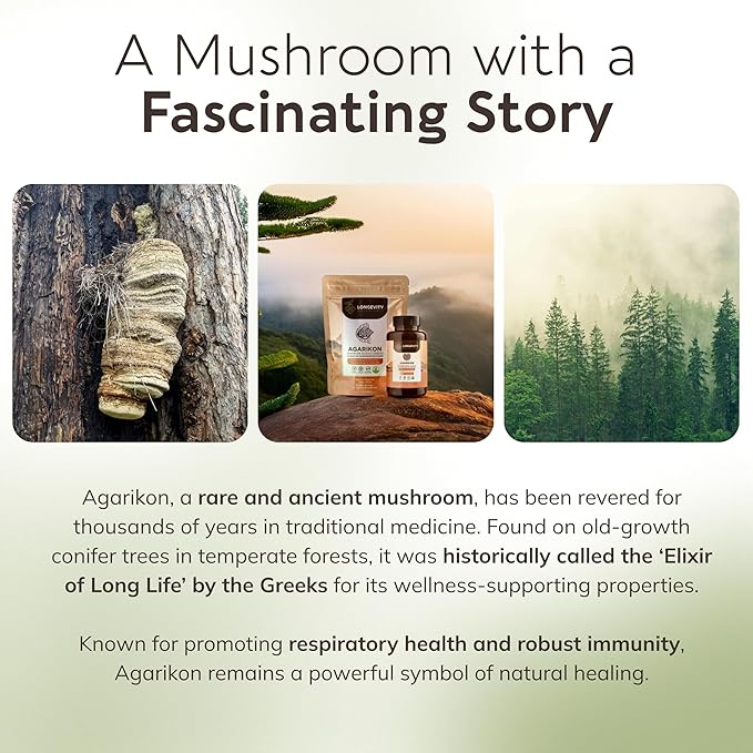 Longevity Botanicals Wildcrafted Agarikon Mushroom Extract Capsules (120) | Concentrated 10:1 Ratio | 100% Fruiting Bodies | Laricifomes Officinalis Supplement for Immunity & Respiratory Support