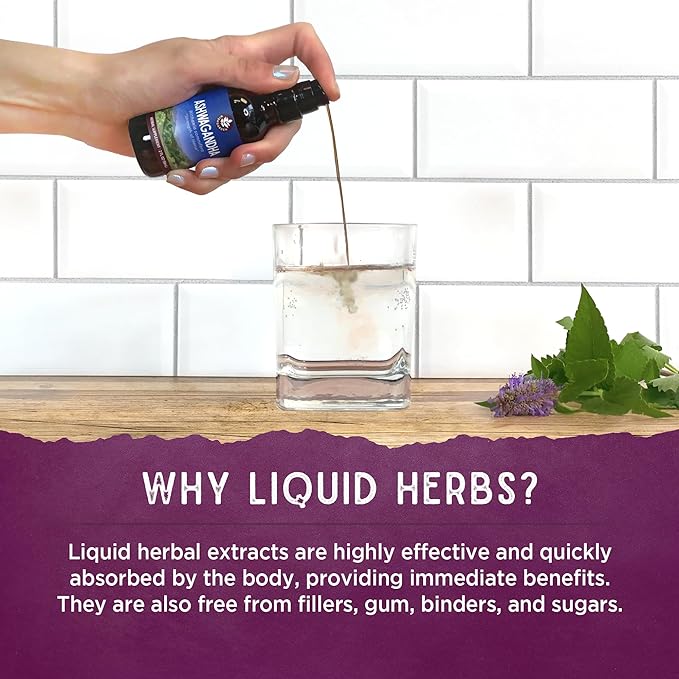 WishGarden Herbs Daily Immune Builder with Black Elderberry & Astragalus - Daily Immune Support Formula for Adults, Herbal Immune System Booster with Elderberries, 4oz