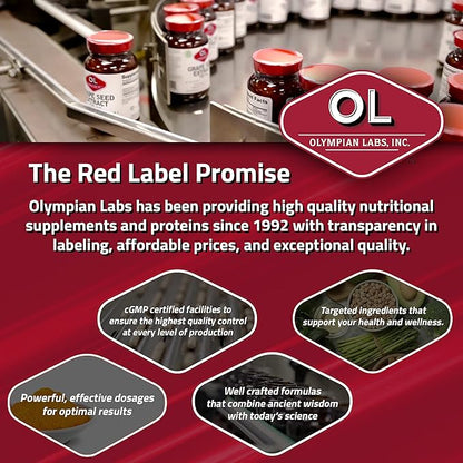 Olympian Labs Milk Thistle Extract Plus Enzymes, Antioxidants, Supporting Liver Health, 60 Vegetarian Caps