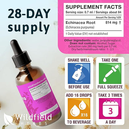 4 oz Liquid Echinacea Extract - Echinacea Root Drops Tincture 2440mg (Echinacea purpurea) Herbal Supplement Absorbs Better Than Capsules, 2 Month Supply, 84 Servings, Alcohol-Free - 2 Oz, Pack of 2