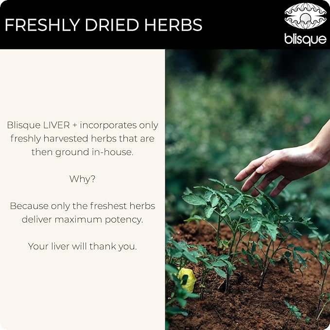 Blisque – Liver Complex Supplement to Detox, Cleanse, and Repair The Liver | Doctor Approved | Natural Ingredients | Milk Thistle, Dandelion, and Burdock Root | 90 Capsule Pills