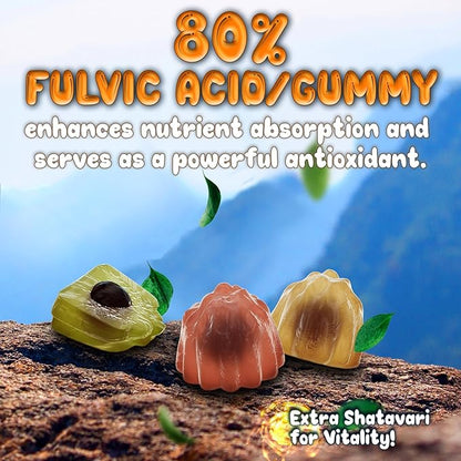 Pure Himalayan Shilajit Gummies - 100% Authentic Shilajit Reisin Extract for Men and Women with Ashwagandha and Shatavari - 60 Gummy - Apple & Kiwi and Peach & Mango Bundle