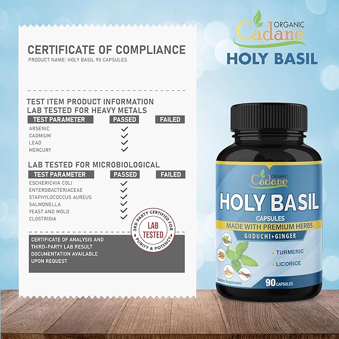 Organic Cadane Holy Basil Supplements Capsules, 5in1 with Guduchi, Ginger, Turmeric Curcumin, Licorice - Support Immune - 90 Capsules for 3 Months