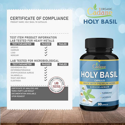 Organic Cadane Holy Basil Supplements Capsules, 5in1 with Guduchi, Ginger, Turmeric Curcumin, Licorice - Support Immune - 90 Capsules for 3 Months
