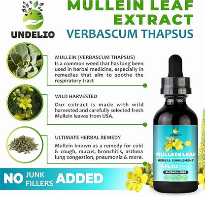 Undelio's Herbal Mullein Leaf Extract - Organic & Alcohol-Free Tincture for Respiratory, Lung, Sleep & Digestive Support - Non-GMO, Vegan - 4 fl. Oz for Immune Health & Lung Detox