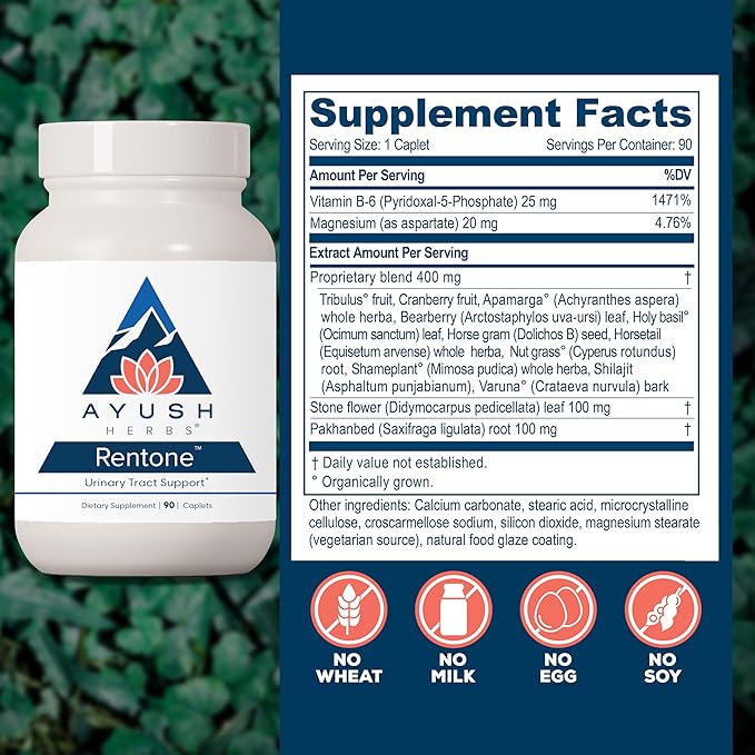 Ayush Herbs Rentone - Kidney Support Supplement with Cranberry, Kidney Cleanse Pills for Women & Men, Urinary Health & Bladder Function - 90 Vegetarian Capsules (1 Count)