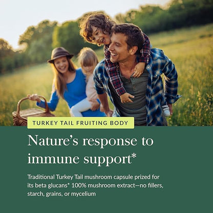 Gaia Herbs Turkey Tail Mushroom - Immune Support Supplement to Help Maintain Liver Health - with Organic Turkey Tail Mushroom Fruiting Body Extract - 40 Vegan Capsules