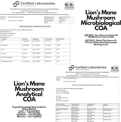 PRISTINE'S Lion's Mane Mushroom 1000mg (2 Pack) Brain Memory & Focus Adaptogen Supplement - 120 Day Supply - Cognitive Function & Immunity Health Memory Supplements for Adults - Vegan - Non-GMO