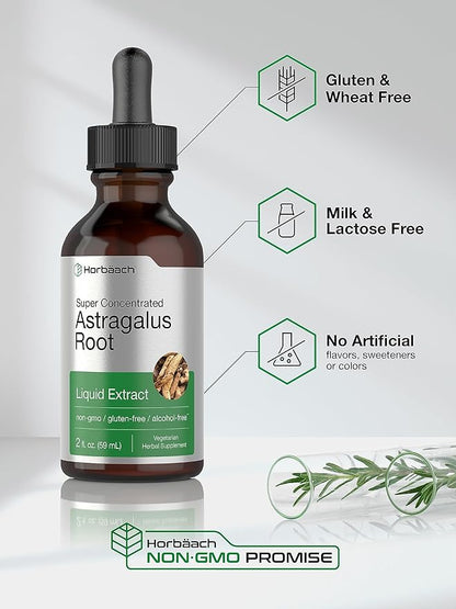 Horbäach Astragalus Root Extract Liquid | 2 fl oz | Alcohol Free Tincture | Super Concentrated | Vegetarian, Non-GMO, Gluten Free Supplement