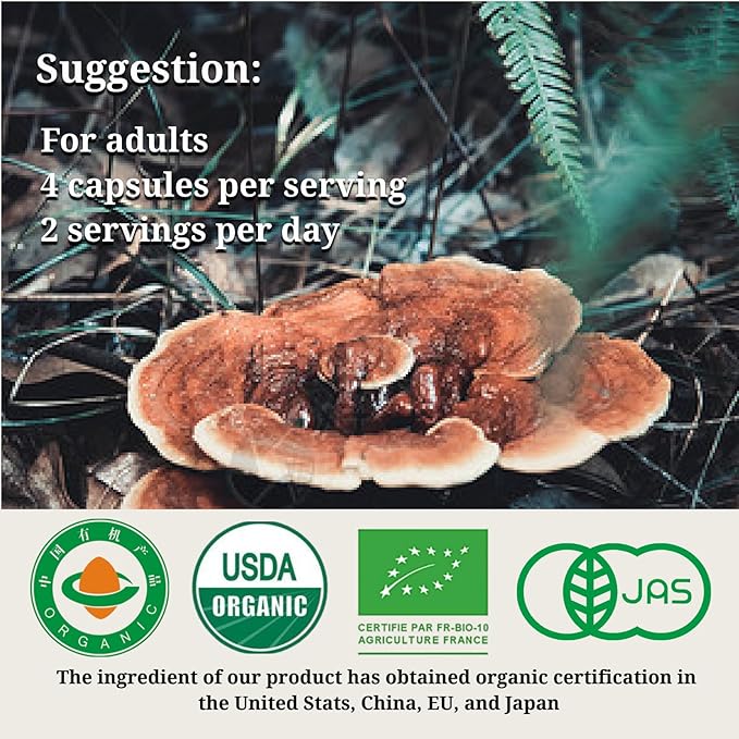 CheezhengHimalaya Reishi Mushroom, Organic Daily Supplements, Immune Support and Longevity - Vegan, Gluten-Free, Non-GMO, Tibetan Natural Herbal Supplement - 120 Capsules, 1400 mg