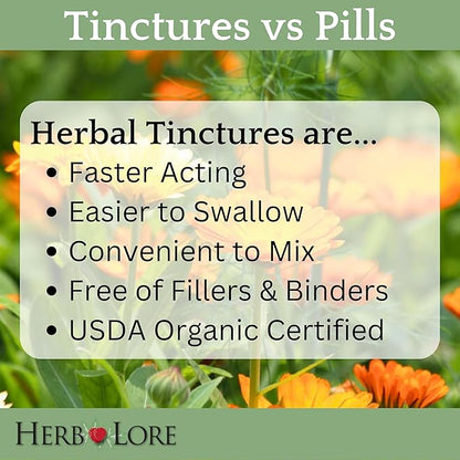 Herb Lore Organic Shatavari Root Extract Tincture - Liquid Shatavari Drops (Asparagus Racemosus) for Lactation and Wellness Support - Alcohol Free (4 fl oz)