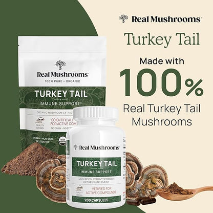 Real Mushrooms Turkey Tail Powder - Organic Mushroom Supplement with Potent Extract for Gut, Energy, Brain, Immune Support Vegan Powder, Non-GMO, 100 Servings