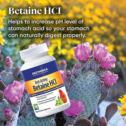 Enzymedica, Betaine HCl, Occasional Heartburn and Indigestion Support, 120 Capsules