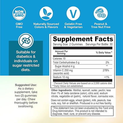 Yum-Vs - Zero Sugar Vitamin C Gummies for Adults & Kids - 250 mg VIT C Immune Support Gummy Vitamins - Sugar Free Chewable Vitamin C Gummy Supplement - High Potency Vegetarian Vitamin C Boost (60)